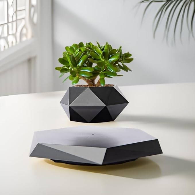 MOOCCI Levitating Plant Pot Floating Plant Potted Plant, Air Bonsai and Artificial Plants, Home Office Desk Decor, Gift for Easter, Mother's, Father's Day（Black
