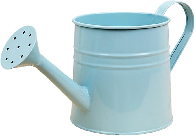 1.6L Watering Can for Indoor Outdoor Plants, Modern Small Watering Cans, Metal Flower Watering Can, Long Spout Watering Can-Colorful Plant Waterer for Indoor Bonsai Plants Garden Flowers (Light Blue)