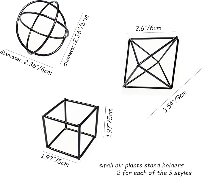 ZOOELAY Small Air Plant Holders Stand Black Airplants Rack Planters Metal Air Fern Plant Display Cage Geometric Tillandsia Pot Containers Gift Idea 6 Pcs