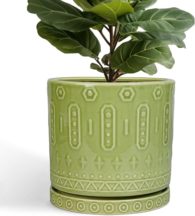 Eightpot Ceramic Planter - 12 Inch Pots for Plants Indoor Outdoor, Round Large Flower Pots with Drainage Hole and Saucer, Decorative Boho Planter, Home Office Decor, Plant Lover Gifts, Green