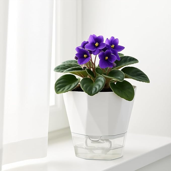 4 Pack Self Watering Pots for Indoor Plants, 10 Inches Self Watering Planters African Violet Pots Clear Pots for Herb Orchid Flower Houseplant, White