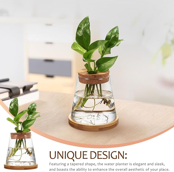 2pcs Glass Plant Propagation Station with Wooden Base Hydroponic Plants Vase for Indoor Decor Glass Terrarium Vase Jars Home Kitchen Decorations and Gifts for Planter Lovers
