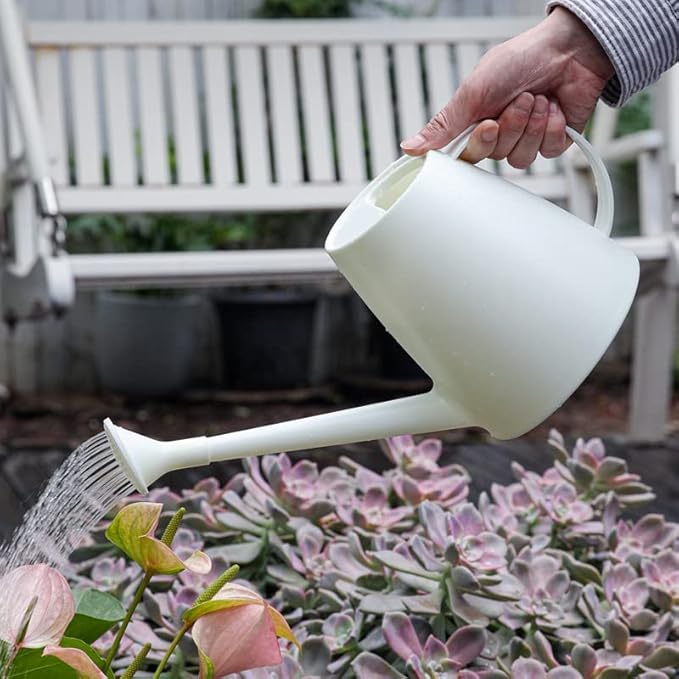 1/2 Gallon Watering Can Indoor Plants with Removable Sprinkler Head and Handle, Long Spout Plastic Watering Can for House Plants Bonsai Flower Garden Indoor