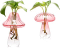 Mushroom Glass Vase Propagation Stations Flower Vases Home Decor Mushroom Planter Cute Vases Garden Decoration Set of 2