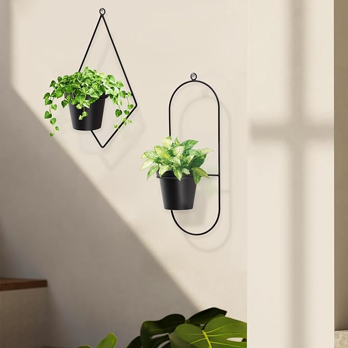 Geometric Wall Planters for Indoor Plants – Set of 2 Black Metal Wall Mounted Plant Holder (Diamond & Oval Shapes) with 5 Inch Flower Pots, Modern haning planters for Indoor Outdoor Décor