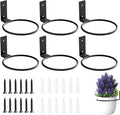 Wall Plant Holder,4 Inch Wall Mounted Plant Holder,Plant Wall Mount,Plant Pot Holder,Wall Planters for Indoor Plants (6 Pack)
