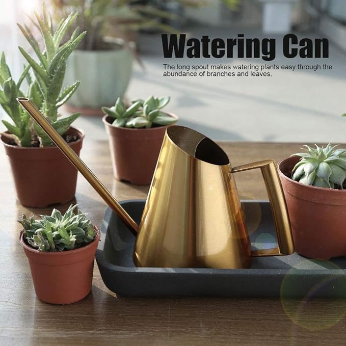 Watering Can for Indoor Plants, 13.5 Oz/400 Ml Indoor Plant Watering Can Stainless Steel Small Water Cans with Long Spout for Plants Succulent Bonsai, 4 X 4.9 Inch