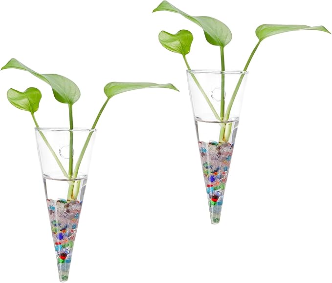 PATIKIL Wall Succulent Planter 7.1x2.8inch, 2 Pack Wall-Mounted Plant Holder Propagation Station Container Flower Vases for Hydroponic Office Home Decor Indoor, Transparent