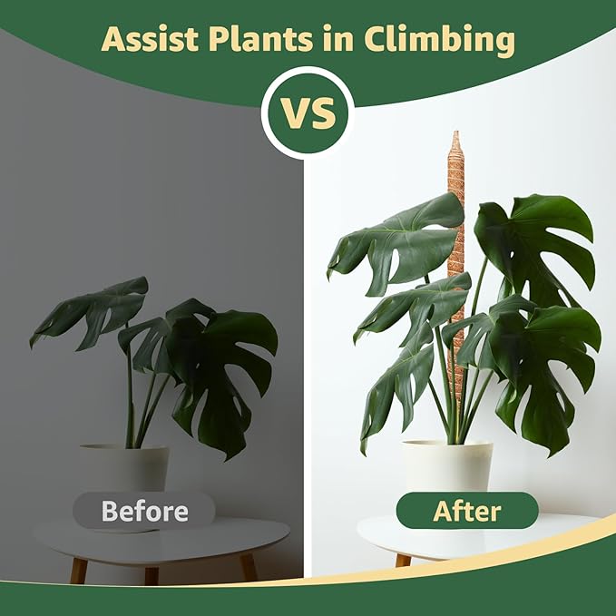 Monstera Moss Pole, 35in Bendable Bendable & Sturdy Plant Stakes for Monstera, Indoor Plant Tools, Pothos Vines, Philodendron, Fishbone Cactus & Indoor Tropical Houseplants, Coco Coir
