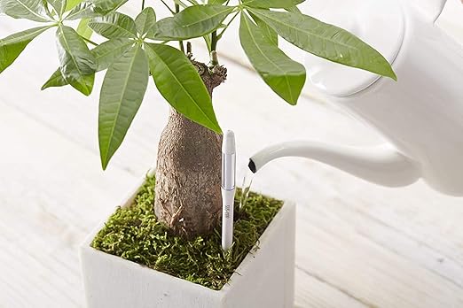 Sustee Aquameter (Small White Refillable - Bundle of 2) - House Plant Soil Moisture Meter, Humidity Sensor Probe, Water Level Indicator - Best for Indoor Potted Plants