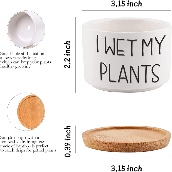 Funny Succulent Pots, 3.15 inch Ceramic Flower Plant Pots with Bamboo Tray, Cute Cactus Planters with Drainage Hole, Birthday Gifts for Women, Plant Lover Gifts, Pack of 3 - Plants Not Included