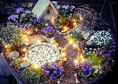 14 Pieces Succulent Plants Tools, Mini Garden Hand Tools Miniature Fairy Garden Tools Kit Bonsai Tools Planting Set with Scissors, Mini Rake, Shovel, Transplanting Tool Watering Can etc
