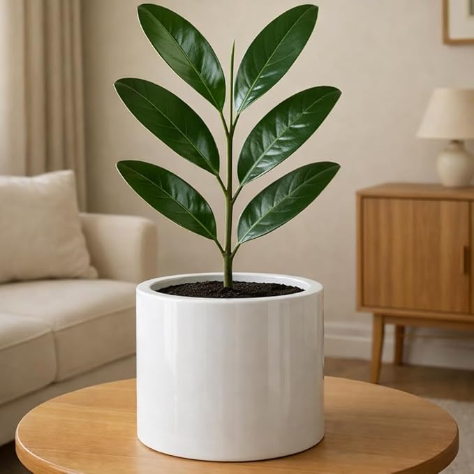 Fox & Fern 8 Inch Plant Pot with Drainage Plug — Premium Lightweight Fiberstone Glossy White Planter - Indoor & Outdoor Planter - 8 Inch Pots for Plants - Weather Resistant & UV Resistant
