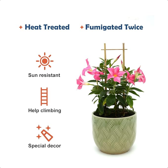 COLOtime 3Pack Bamboo Trellis 16 Inch Ladder Shaped Small Plant Trellis for Indoor Potted Plants Climbing Monstera Orchid Vine Hoya Houseplant