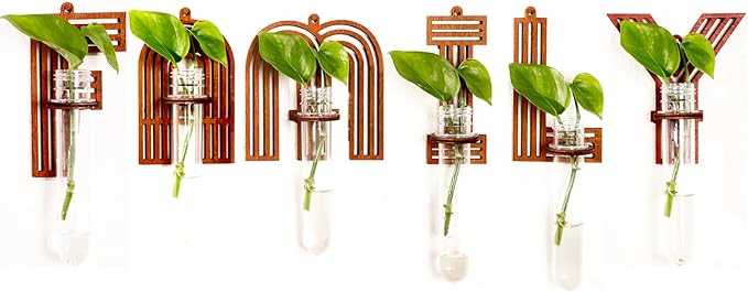 Family Letter Wall Propagation Planters Test Tubes Wall Decor for Hanging Plants Clear Water Plant Vase Brown Wood Upletter Alphabet Functional Art Boho 6 Pack