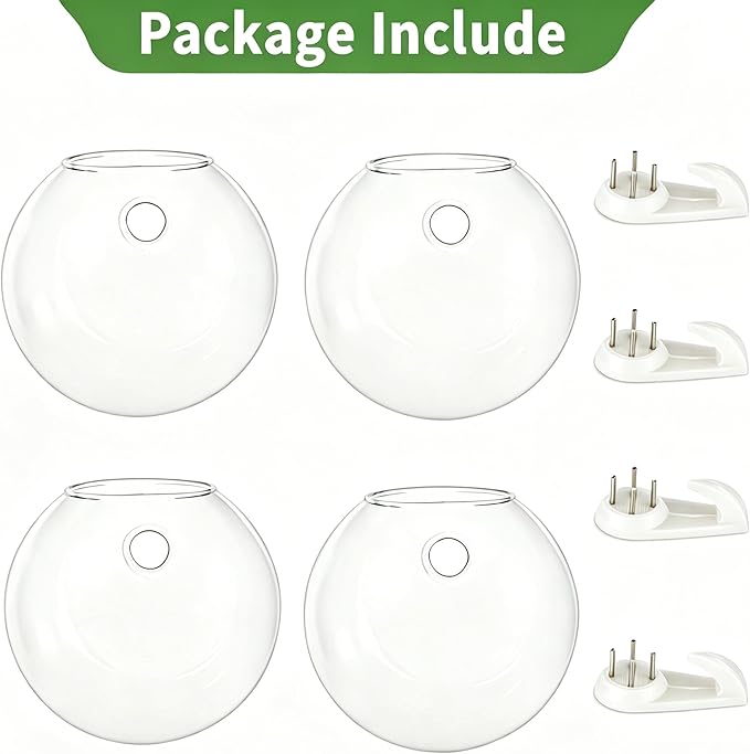 NUPTIO Wall Hanging Planters Terrarium: 4Pcs Clear Glass Wall-Mounted Vases for Indoor Office Garden Living Room - Oblate Plant Pots Hydroponic Containers Propagation Stations for Flowers