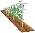 Grape Vine Trellis 7ft Tall 3pcs Set for Raspberry and Grape Plants, Heavy Duty, Easy to Install Vineyard Trellis, Fiberglass Rust-Proof, (84inch 3Trellises)