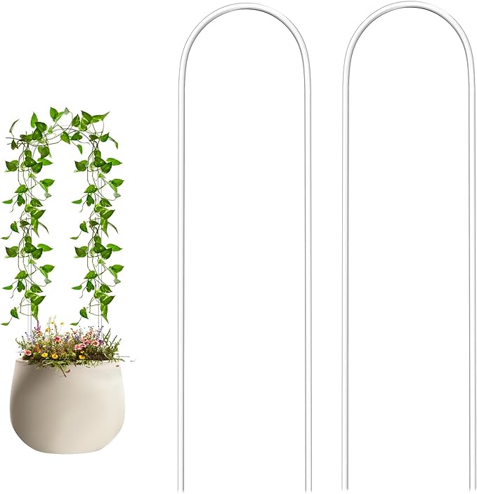 2 Pack U-Shaped Plant Trellis Indoor, Clear Acrylic Pothos Plant Climber Support, Trellis for Potted Plants Climbing Small Garden Plants Trelli Houseplant Accessory for Potted Ivy Outdoor