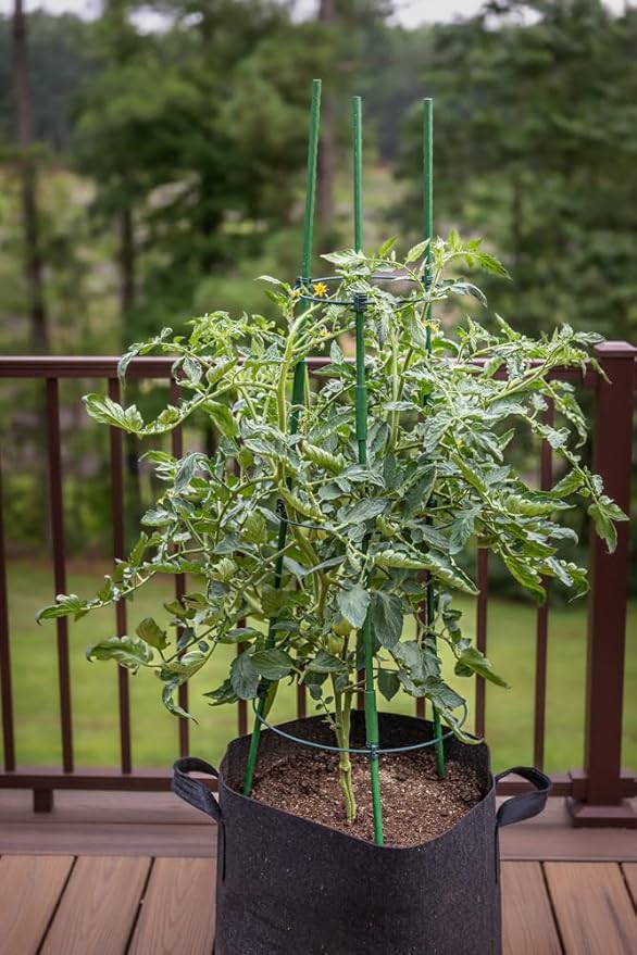 Gardzen 3-Pack Tomato Cage, Plants Support, Trellis Climbing Ring Cage, Stand for Pepper Eggplant Tomato Flowers