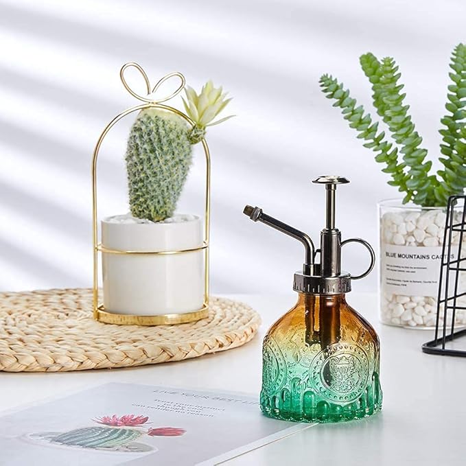 Glass Plant Mister Spray Bottle Indoor Watering Can 6.4inch Tall with Bronze Plastic Top Pump Vintage Small Plant for Outdoor Garden Succulent Flower