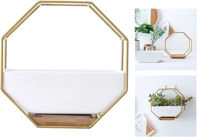 Modern Wall Planter Metal Wire Octagon Design Wall-Mounted Shelves with Ceramic Flower Pot Geometric Hexagon Wall Decor (Color : Golden)