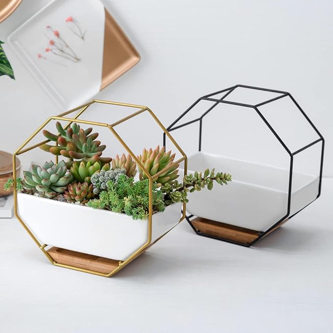 Hanging Plant Pots, Wall Planter Geometric Succulent Wall-Mounted Decor with Ceramic Flower Pot Hanging Vase Desktop Succulents Planter