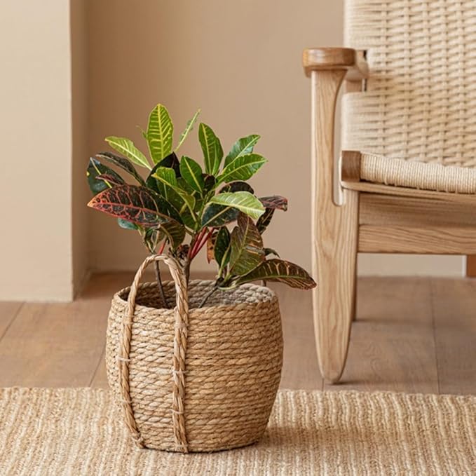 10 inch Large Seagrass Woven Planter Basket with Handles - Wicker Planter Basket with Plastic Film Insert for Indoor Plants, Large Monstera Pot, Woven Storage Basket, Boho Home Decor