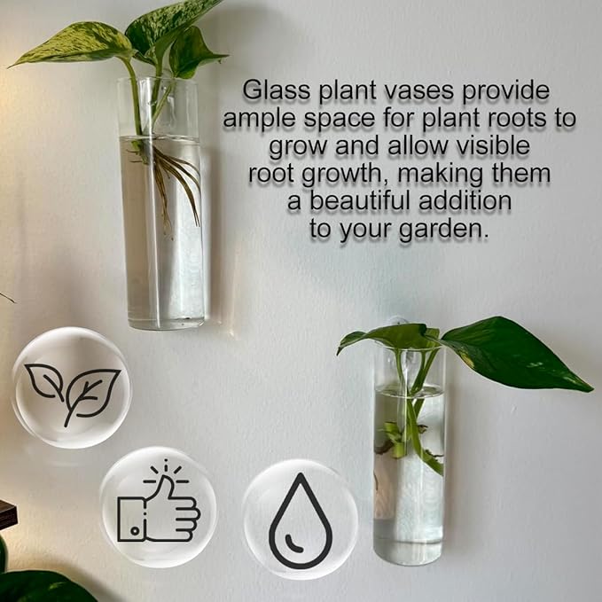 4 Pack Wall Hanging Glass Plant Holders with Hooks, Hanging Glass Vase Transparent Wall Mounted Propagation Station for Home Decor Dining Table, Cylinder Set