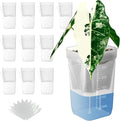 10 Pack 2.5 inch Small self Watering pots for Indoor Plants,semi hydroponic pots for leca and pon,Clear Plastic Plant Pot for Propagation,Seedling,Cutting and African Violet (Clear, 2.5 inch)