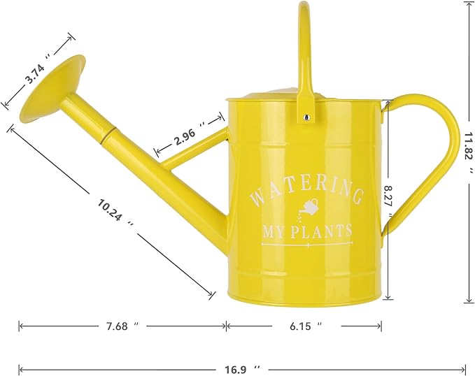 Garutom Galvanized Watering Can for Outdoor Indoor Plants, 1 Gallon Decorative Countryside Water Can with Removable Spout, Metal Watering Can for Indoor Plants and Garden Flower (Yellow)