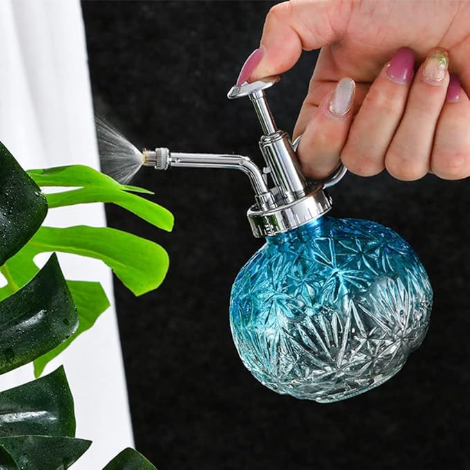Gadpiparty Glass Plant Mister Watering can with Pump Sprayer for Indoor Outdoor Succulent Plants Mini Bonsai Trees Portable Refillable Mister Spray Bottle