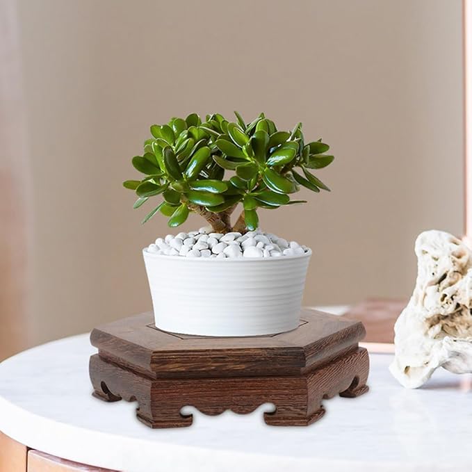 GANAZONO Plant Stand 2 Pack Wooden Flower Pot Base Riser for Indoor Outdoor Small Potted Plants Display Decorative Pedestal for Home Garden