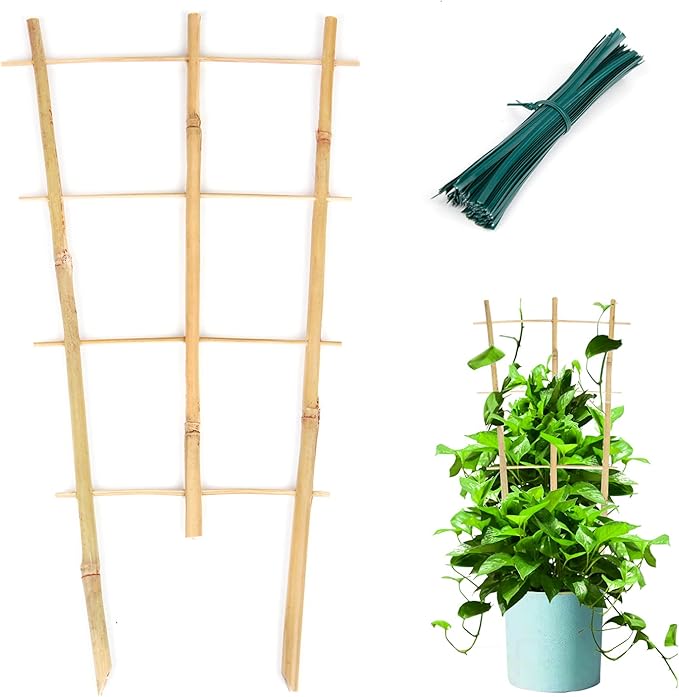 Cambaverd Plant Trellis Indoor, 3 Pack Bamboo Trellises, 16in Fan-Shaped Trellis for Potted Plants Climbing Plants Hoya Vine Ivy