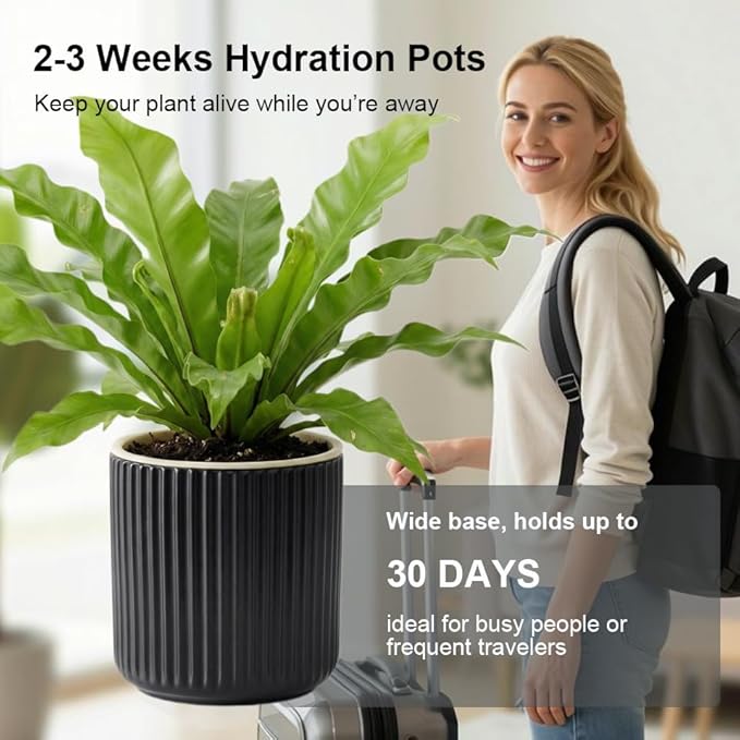 2 Pack of 4in Ceramic Cachepot with 4 inch Clear nusery Pot - self Watering Indoor Planter with Drainage for Root Visibility,semi Hydro pots for repotting Succulent,Black