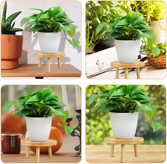 DOITOOL 5 Inch Wooden Indoor Plant Stand Succulent Pot Holder Decorative Flowerpot Raiser Tray for Living Room Patio Garden Display