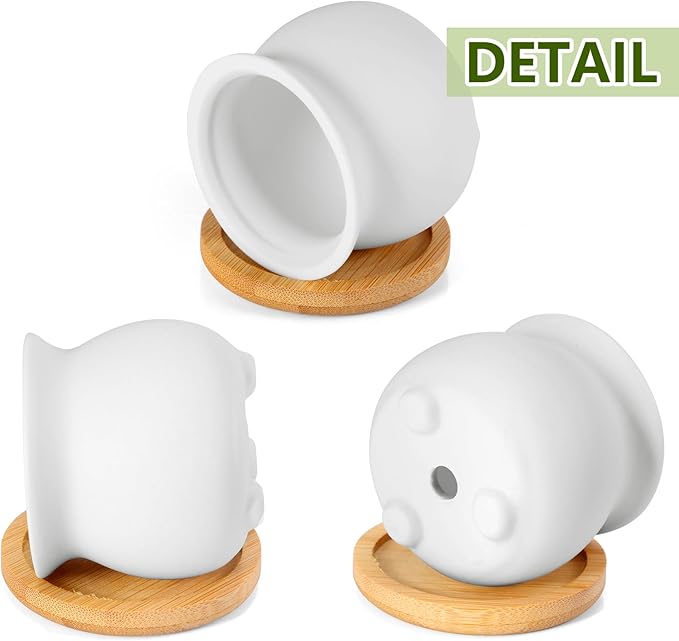 Remerry 6 Pcs Mini Succulent Pots with Bamboo Tray 2.5 Inch White Ceramic Pots Color Your Own DIY Small Planters Containers for Flower Cactus with Drainage Hole for Plant Lover