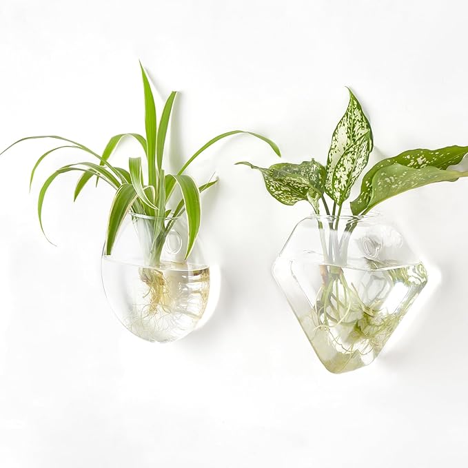 Mkono Wall Planter Propagation Stations Hanging Glass Terrariums Vase Container for Propagating Hydroponic Plants Flowers Home Office Living Room Bathroom Garden Decor, 3 Pack(Plants not Included)