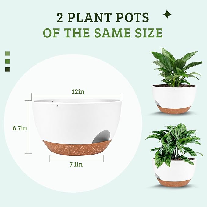 Vanslogreen Plant Pots 12inch Self Watering Pots, Set of 2 Plastic Planters with Drainage Holes and Saucers, Flower Pots for Indoor Outdoor Plants (White)