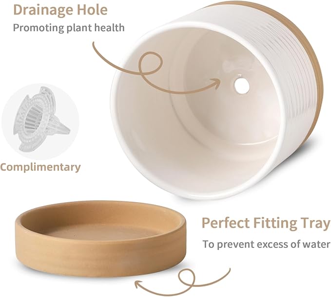 HASENSE 6 Inch Indoor Plant Pot, Ceramic Flower Planter with Drainage Hole and Saucer, Modern Pots for Plant with Two-Tone Design, Perfect for Wedding Birthday Gift, White-Brown