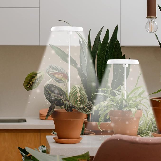 GYTF Halo Plant Grow Light, 6000K White LED Full Spectrum Growing Lamp for Indoor Plants, Succulents, Mini Bonsai, Small Plants, Height Adjustable, Dimmable & Timer 4/8/12/18Hrs,4 Pack
