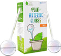 Little Green Leaf Automatic Plant Watering Globes Self Watering Planter Inserts (Set of 2) | Hands Free Clear Glass Bulbs | Planter Spikes to Support Indoor & Outdoor Plant Health (200ml)