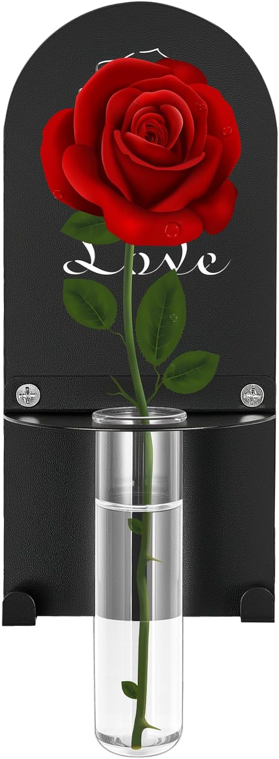 Wall Mount Glass Vase,Glass Plant Propagation Hanging Propagation Station Planters for Wall Decor,Clear Glass on Metal Base,Decorative Hanging Planter for Indoor Hydroponic Propagated Plant Holder （1）