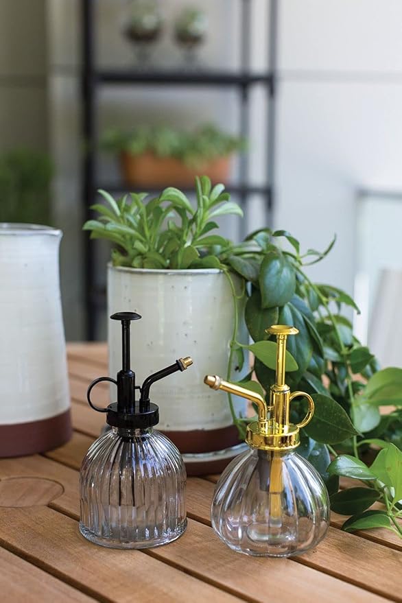 Carlise Plant Mister Spray Bottle| Glass Plant Mister for Indoor Plants l Indoor Plant Mister Decorative (3"x 3"x 6", Black) (70541)