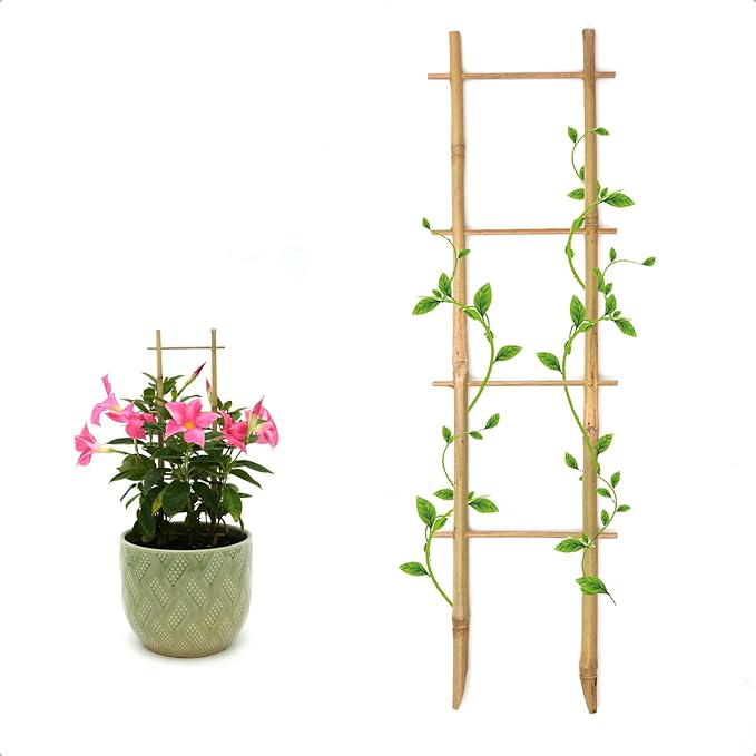 COLOtime 3Pack Bamboo Trellis 16 Inch Ladder Shaped Small Plant Trellis for Indoor Potted Plants Climbing Monstera Orchid Vine Hoya Houseplant