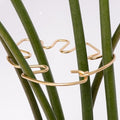 Yohsnor Monstera Plant Stem Support - 5 Piece Set, 4.13x2.95in Durable Leaf Holder & Fishbone Cactus Stake for Healthy Growth of Climbing Plants - Easy to Use Indoor Plant Decor