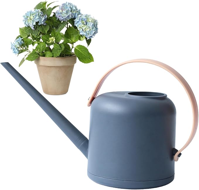Long-Spout Watering Can, Indoor Plant Waterer, 1.7L Capacity Can with Durable Build, Gardening Tool Material, Watering Device with Detachable Handle, Plant Waterer for Succulents and Flowers