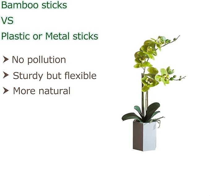Cambaverd 40pcs Natural Bamboo Sticks for Indoor and Outdoor Plants, 16 Inch Plant Support Stakes for Tomato, Beans, Potted Plants and Vegetable