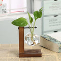 Plant Terrarium with Wooden Stand, Desktop Propagation Stations Glass Air Planter Metal Swivel Holder for Indoor Live Hydroponics Plants Office Home Garden Decor (1 Bulb Vase)