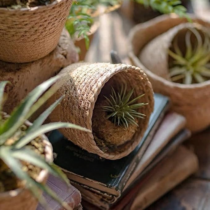 Seagrass Round Wicker Planter Basket with Plastic Liner, Handmade Woven Basket Flower Pot for Indoor Plants and Flower, Boho Home Decor, Bread & Fruit Storage Basket (Khaki,Set of 3)