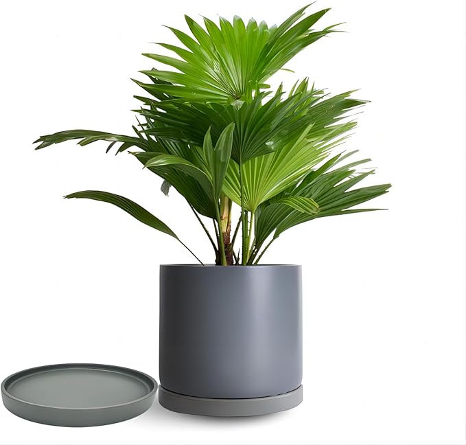 Yukfona Ceramic Plant Saucer Pot Tray 12 Inch, Planter Saucers 4 5 6 7 8 9 10 11 12 13 Inch for Indoors Outdoor, Durable Sturdy Flower Drainage drip Water Tray for Glazed Pots Base (12.7 Inch-Grey)